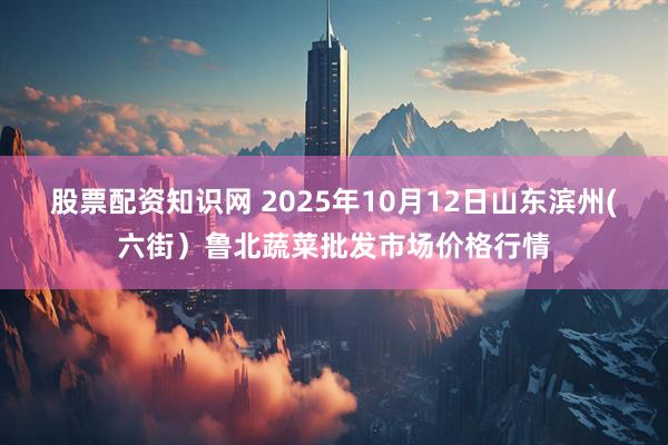 股票配资知识网 2025年10月12日山东滨州(六街）鲁北蔬菜批发市场价格行情