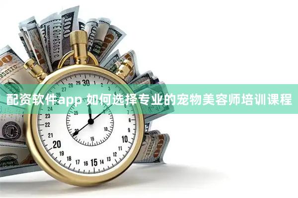 配资软件app 如何选择专业的宠物美容师培训课程