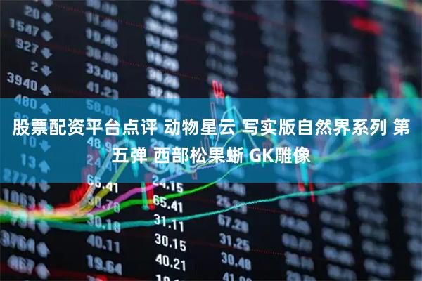 股票配资平台点评 动物星云 写实版自然界系列 第五弹 西部松果蜥 GK雕像