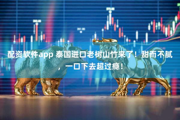 配资软件app 泰国进口老树山竹来了！甜而不腻，一口下去超过瘾！